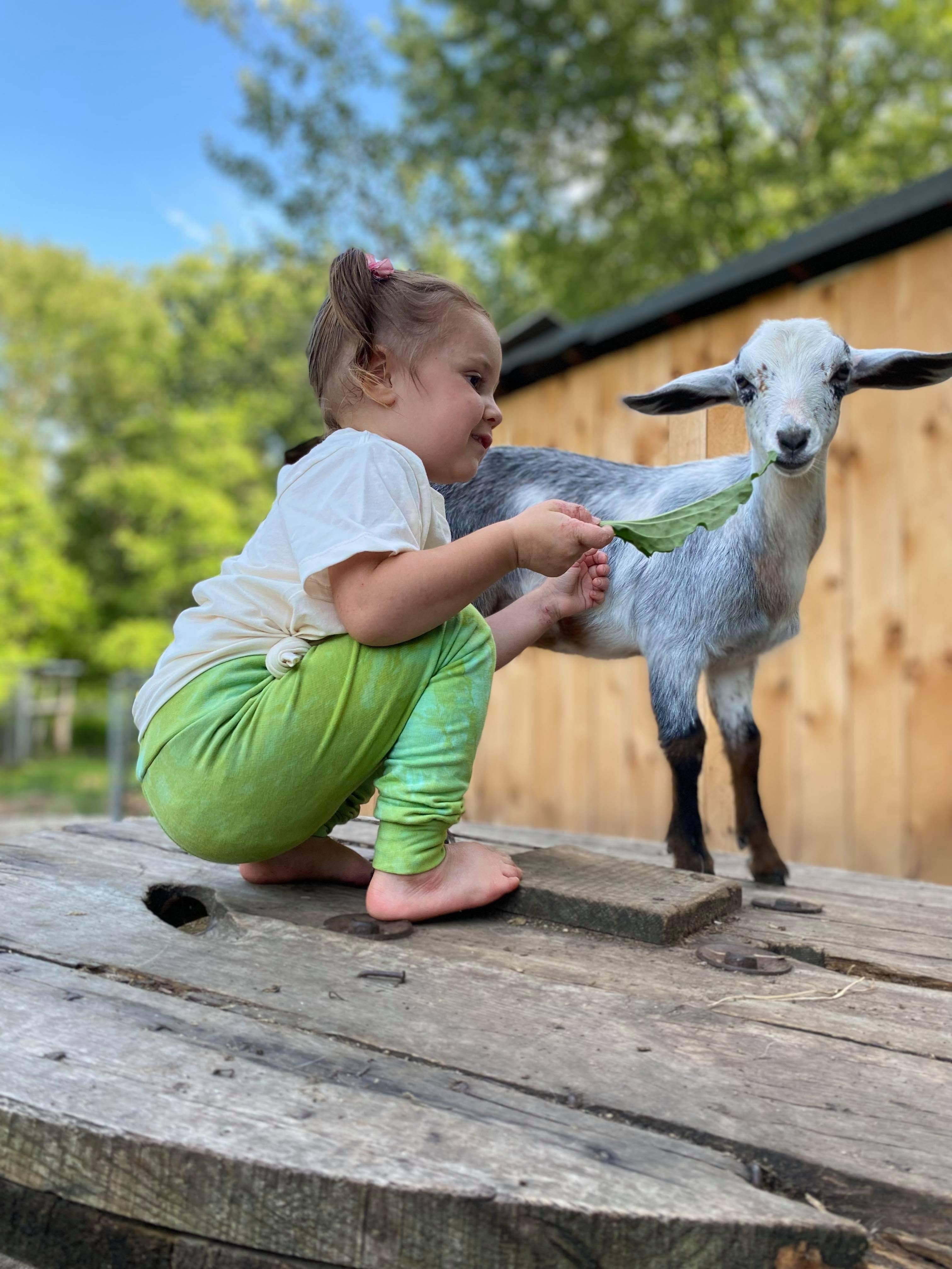 Herbaceous | Organic Bamboo Leggings | Hand Dyed