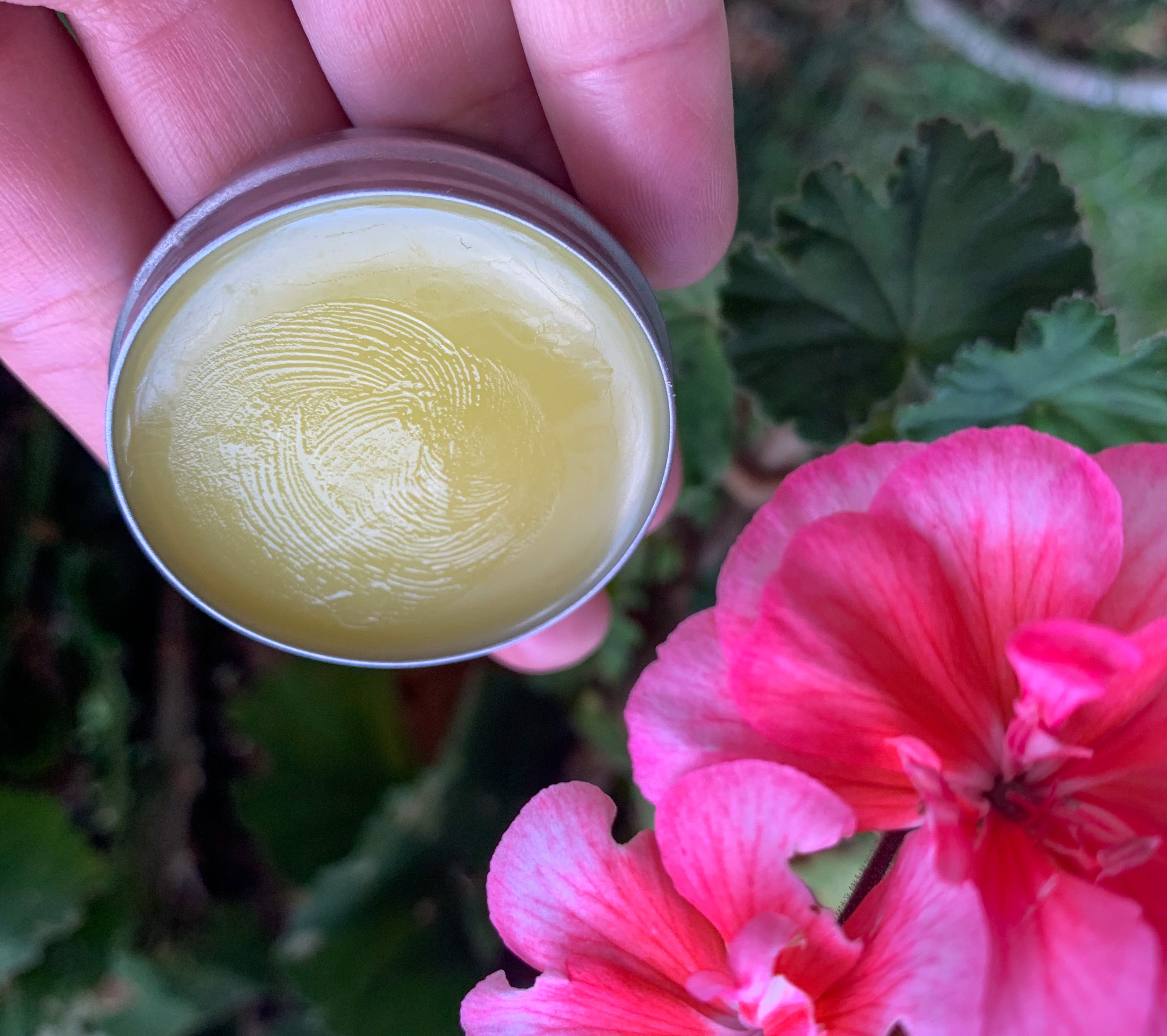 Bug Bite Salve, with soothing lavender, 1/2 oz tin